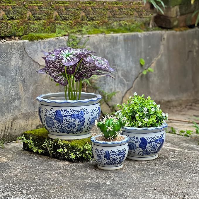 Blue and White Planters, Succulent Pots Ceramic Plant Pots Indoor with Drainage for Home Décor - Set of 3