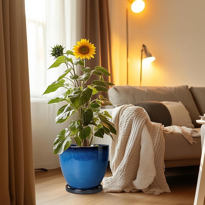 Ceramic Pots for Plants - 10 Inch Planter for Indoor Ourdoor Plants Modern Large Flower Pot with Drainage Hole and Saucer Room Home Office Garden Patio Porch Decor Blue