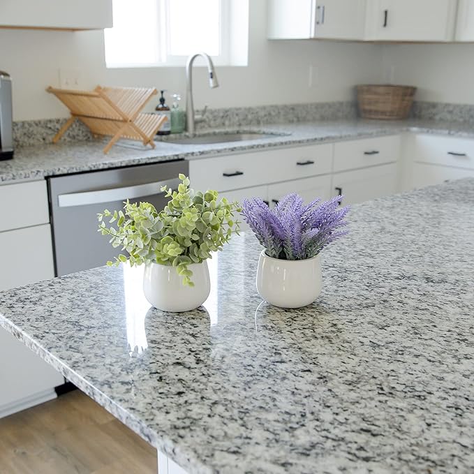 2 Pack in Ceramic Pot Mini Potted Fake Plants Artificial Eucalyptus Lavender for Home Office Desk Shelf Shower Kitchen Centerpiece Farmhouse Room Decor