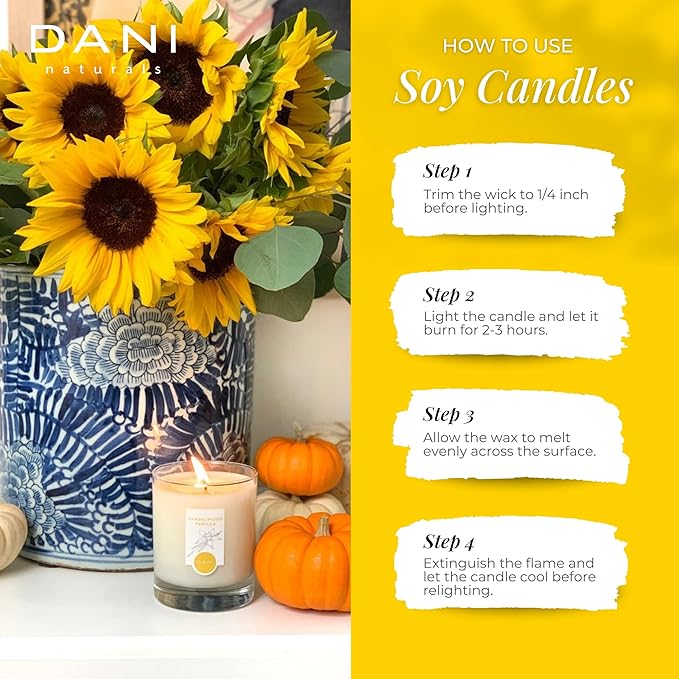 DANI Naturals Soy Candle - Sandalwood Vanilla Scented - 100% Pure Soy Wax, Kosher, Eco-Friendly, Non-Toxic, Long-Lasting Burn - 7.5 oz