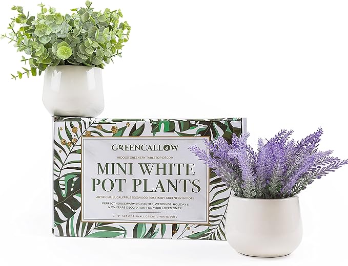 2 Pack in Ceramic Pot Mini Potted Fake Plants Artificial Eucalyptus Lavender for Home Office Desk Shelf Shower Kitchen Centerpiece Farmhouse Room Decor