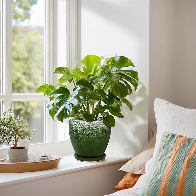 6 Inch Plant Pot - Ceramic Plant Pots with Drainage Hole and Saucer, Ceramic Planter for Indoor Outdoor Plants, Round Modern Planter, Room House Decor, Gifts for Women Men, Green