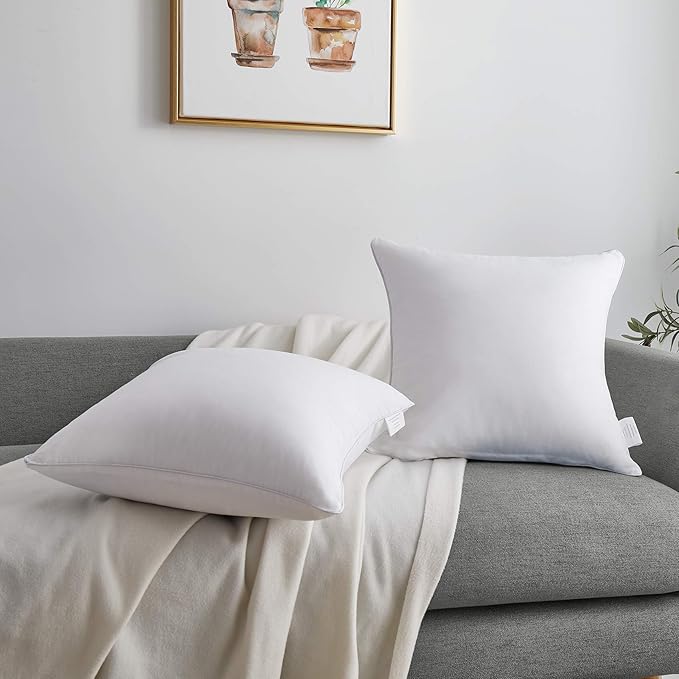 Oubonun 20 x 20 Throw Pillow Inserts (Set of 2) with 100% Cotton Cover - 20 Inch Square Interior Decorative Sofa Pillow Insert Pair - White Couch Pillow