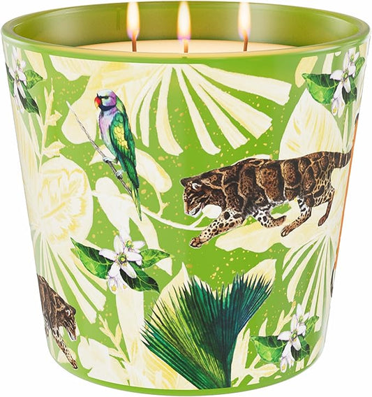 Verbena & Fig Leaf Scented Candle, Large Natural Candles Non Toxic for Home Scented, 30oz Soy Wax, 3 Wicks, Luxury Aromatherapy Candles | 100+ Hour Slow-Burn for Home Decor,Stress Relief,SPA