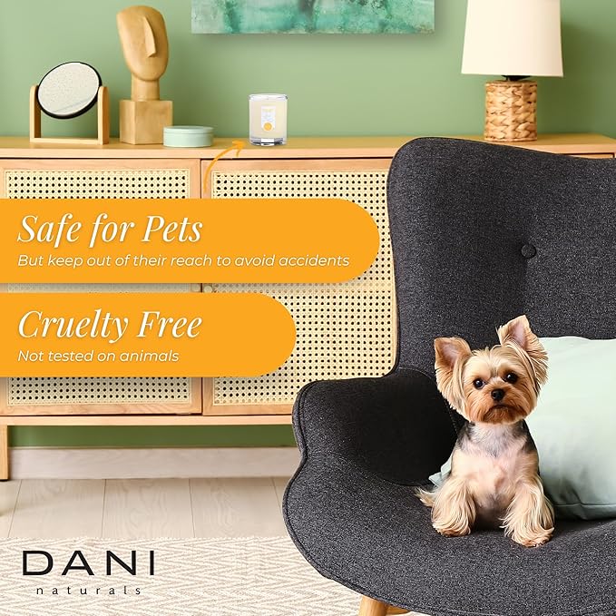 DANI Naturals Soy Candle - Grapefruit Ginger Scented, 100% Pure Soy Wax, Kosher, Non-Toxic, Long-Lasting Burn - 7.5 oz