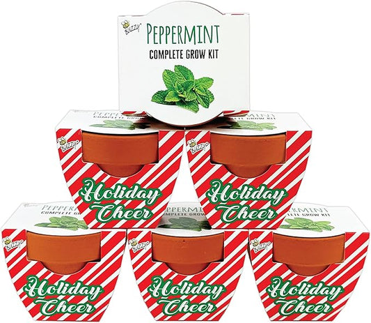 BUZZY Seeds Holiday Candy Cane Mini Terracotta Grow Pots, 6-Pack Peppermint Seeds, Indoor Plant Starter Kit, Stocking Stuffers, Party Favors Adults, for Kids