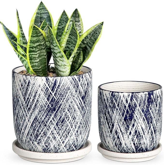 Blue Indoor Plant Pot Set, 5+6inch Ceramic Planter with Drainage Hole and Tray, Succulent Flower Orchid Greenery Planter, Round Plant Pots for Home Desktop Office Windowsill Decoration