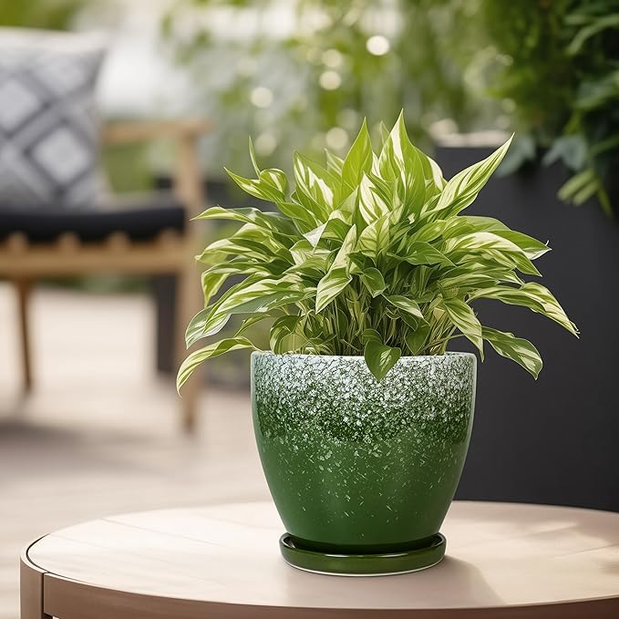 Ceraimc Plant Pot - 6.3 Inch Planter with Drainage and Plant Tray, Round Succulent Planters, Decorative Flower Pot for Indoor, Room Office Patio House Decor, Gifts for Women Men, Green