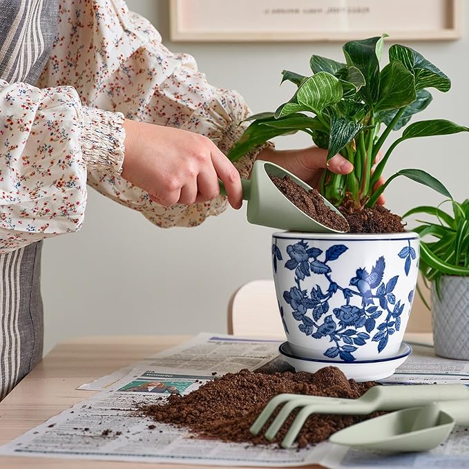 8 inch Ceramic Flower Pots, Chinoiserie Decor Ceramic Planter Plant Pots for Indoor Plants with Drainage and Saucer, Blue and White