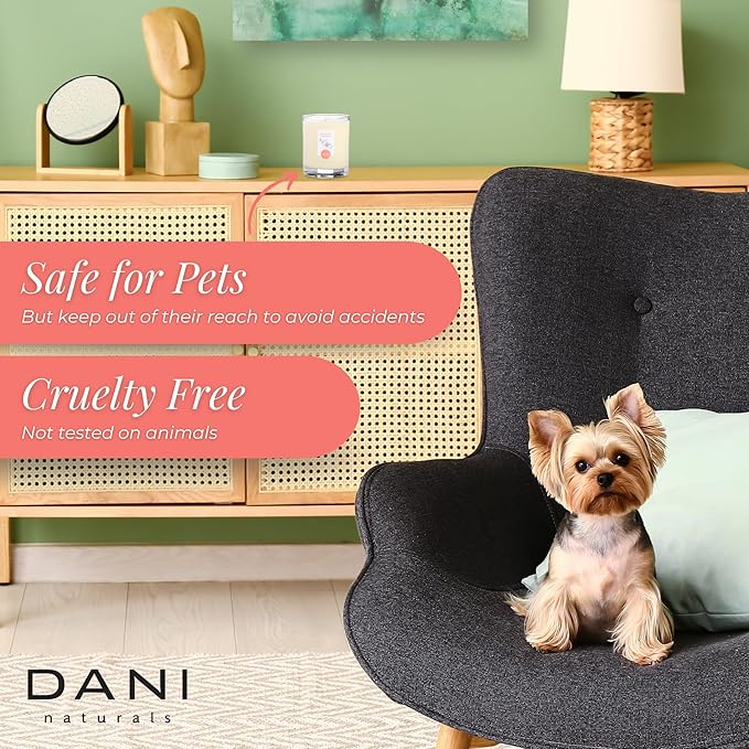 DANI Naturals Soy Candle - Coconut Hibiscus Scented, 100% Pure Soy Wax, Kosher, Non-Toxic, Long-Lasting Burn - 7.5 oz