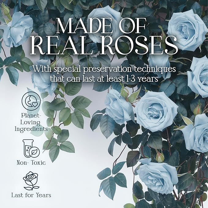 GLAMOUR BOUTIQUE 16 Flower Forever Heart Shape Box - Preserved Roses Gift for Her, Preserved Flowers, Teal