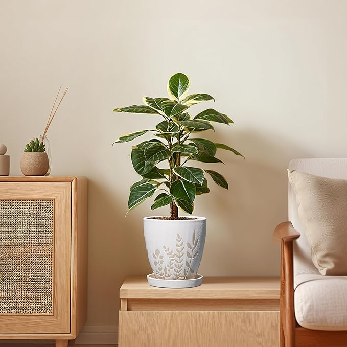 6 Inch Plant Pot with Drainage and Saucer - Small Decorative Flower Pot for Succulents Herbs Plants, Indoor Succulent Planter, Desk Office Room Home Decor, Gifts for Plant Lovers, White