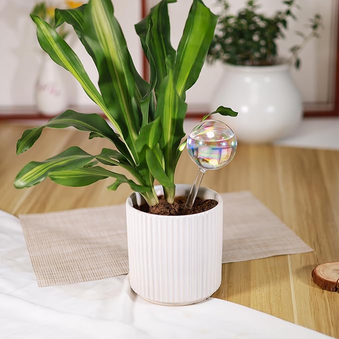 Large Extra-Thick Clear Glass Plant Watering Globes, Rainbow Gradient Self Watering Devices for Indoor & Outdoor Plants, Automatic Waterer Spikes, Perfect for Daily or Vacation Use, 4-Pack