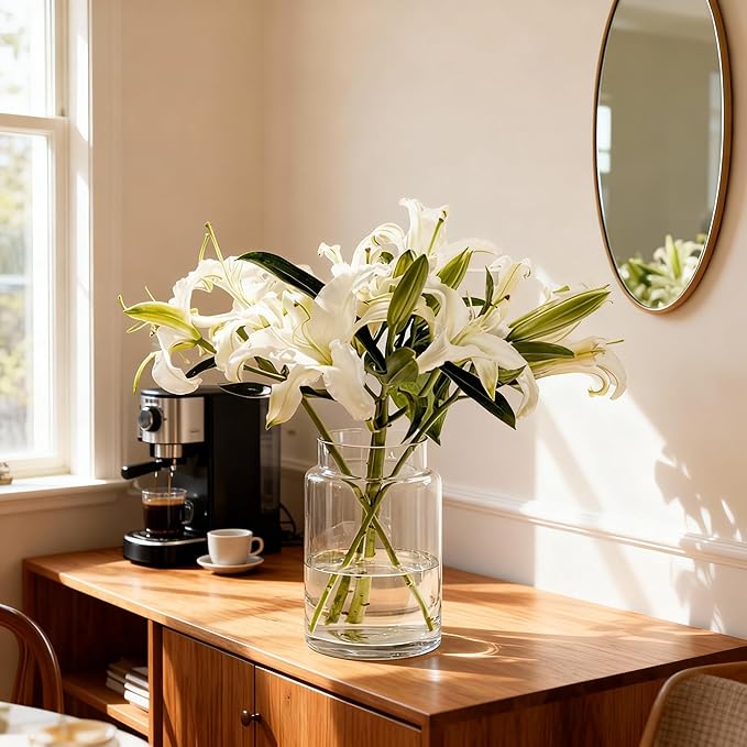 BLOFLO Clear Glass Vase, 9 Inch Large Glass Vase for Flowers, Modern Thick Glass Flower Vases for Centerpieces, Decorative Glass Cylinder Hydroponic Vase for Wedding, Home, Office (Clear, 9Inch)