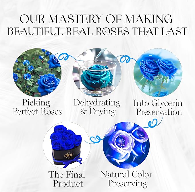 GLAMOUR BOUTIQUE 7 Flower Forever Heart Shape Box - Preserved Roses Gift for Her, Preserved Flowers, Blue