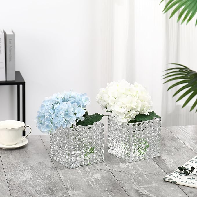 Square Vases Set of 6, 5" x 5" x 5" Square Glass Vases for Flowers, Clear Flower Vase for Centerpieces, Small Bubble Vase for Wedding, Party, Home, Office, Parties, Events