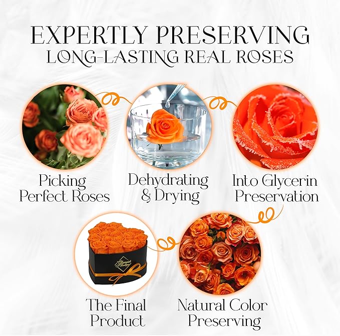 GLAMOUR BOUTIQUE 16 Flower Forever Heart Shape Box - Preserved Roses Gift for Her, Preserved Flowers, Orange