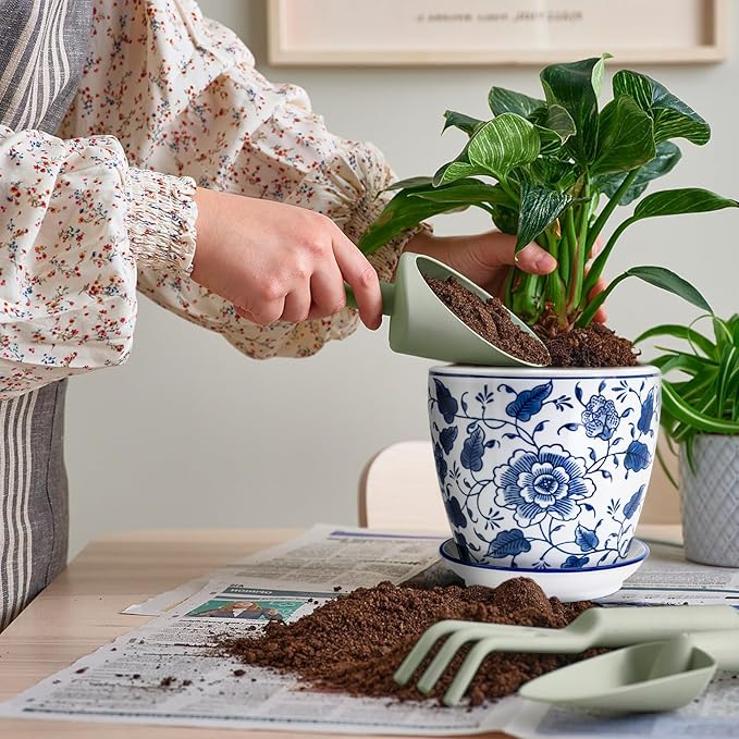 8 inch Ceramic Planters for Indoor Plants, Chinoiserie Decor Ceramic Pots for Plants Flower Plant Pots Indoor with Drainage and Saucer, Blue and White