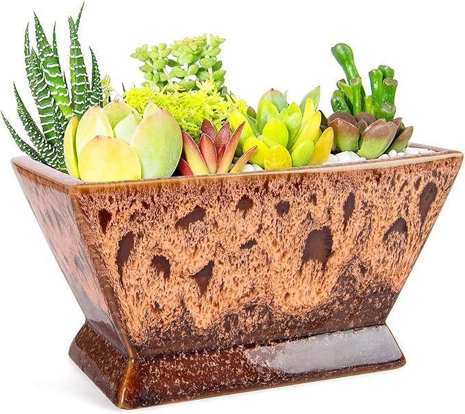 ARTKETTY Succulent Pots - 7 Inch Large Plant Pot with Drainage, Shallow Ceramic Bonsai Pots Succulent Planters for Indoor Outdoor Plants, Modern Cactus Planter Decorative Home Office