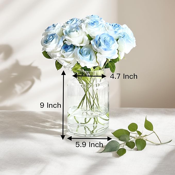 BLOFLO Clear Glass Vase, 9 Inch Large Glass Vase for Flowers, Modern Thick Glass Flower Vases for Centerpieces, Decorative Glass Cylinder Hydroponic Vase for Wedding, Home, Office (Clear, 9Inch)