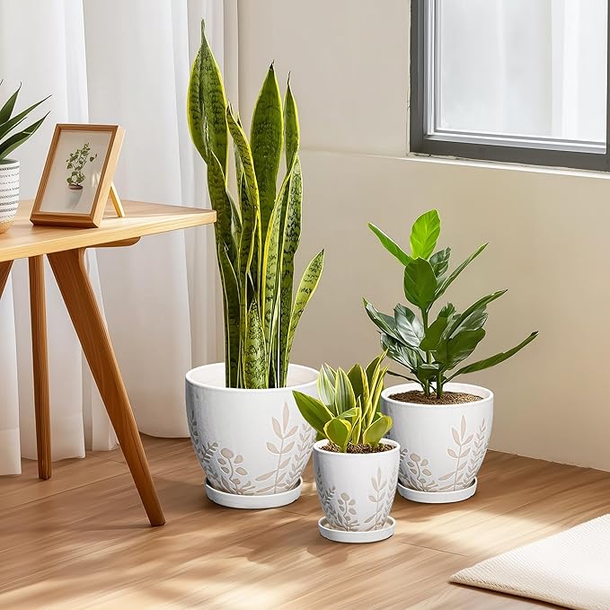 6 Inch Plant Pot with Drainage and Saucer - Small Decorative Flower Pot for Succulents Herbs Plants, Indoor Succulent Planter, Desk Office Room Home Decor, Gifts for Plant Lovers, White