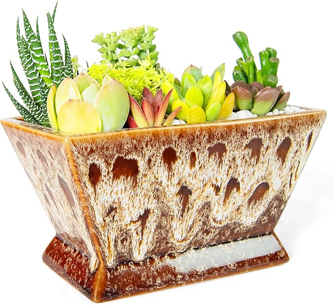 ARTKETTY Succulent Pots - 7 Inch Large Plant Pot with Drainage, Shallow Bonsai Pots Ceramic Succulent Planters for Indoor Outdoor Plants, Modern Cactus Pot Decorative Home Office
