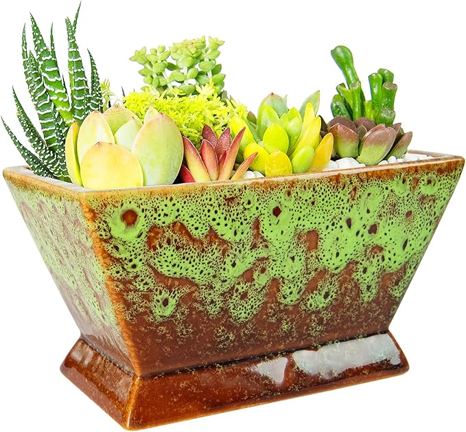 ARTKETTY Succulent Pots - 7 Inch Large Plant Pot with Drainage, Shallow Bonsai Pots Ceramic Succulent Planters for Indoor Outdoor Plants, Modern Cactus Pot Decorative Home Office
