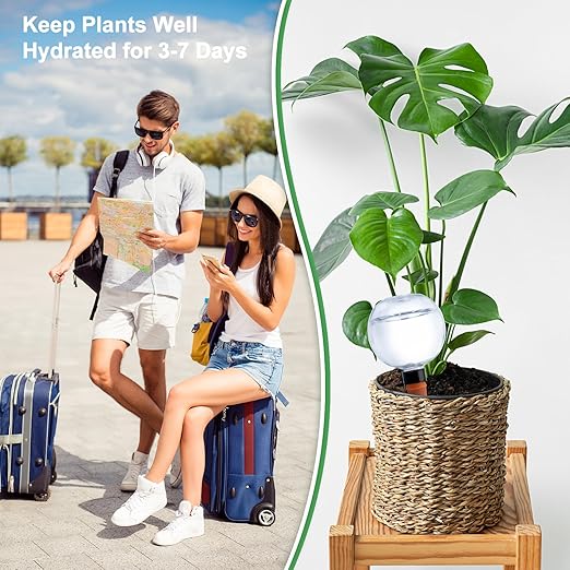 4 Pack Plant Watering Globes 17oz Self Watering Planter Insert Indoor/Outdoor Plant Watering Devices for Automatic Drip Irrigation