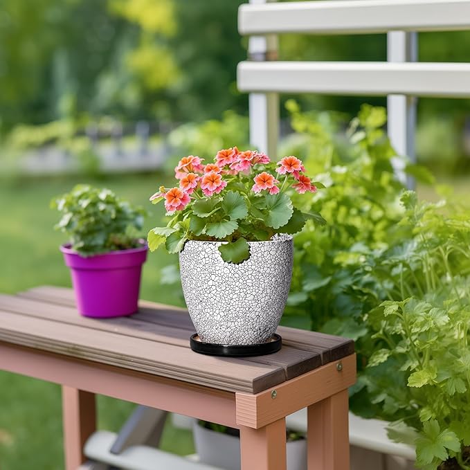 Ceramic Plant Pots - 6 Inch Planters for Indoor Outdoor Plants, Round Plant Pot with Drainage Hole and Saucer, Ceramic Succulent Pots, Desk House Decor, Gardening Gifts for Women, White-Black