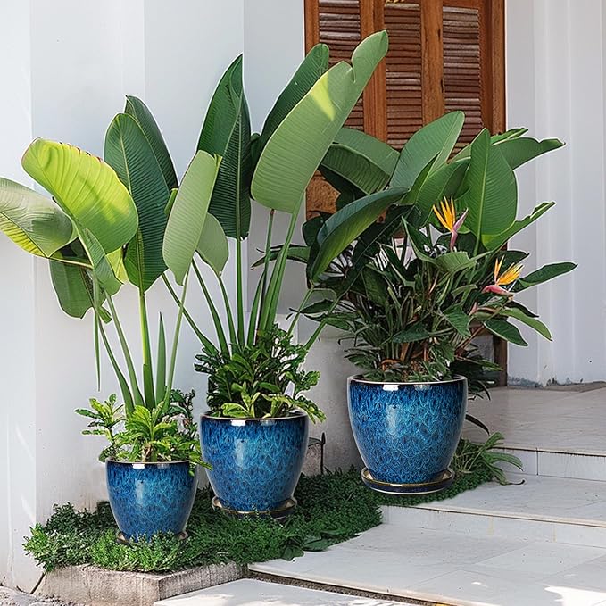 8 Inch Ceramic Planter Pot with Drainage Hole and Saucer, Ceraimc Plant Pot Round Flower Pot for Indoor Plants Outdoor Garden Planter, Blue