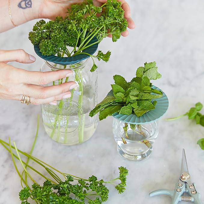 Modern Sprout Produce Keeper for Fresh Herbs & Greens - Eco-Friendly, BPA-Free, Sustainable Materials - Extends Freshness Up to 2 Weeks - Gift for Plant Lovers and Home Chefs - 2 Pack