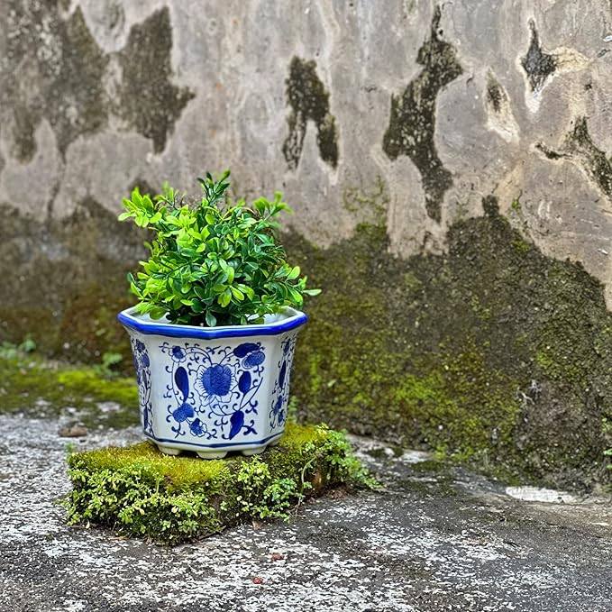 Ceramic Planter, Chinoiserie Decor Ceramic Flower Pots Plant Pots Indoor with Drainage for Orchid Succulent or Small Plants, Blue and White, Set of 3