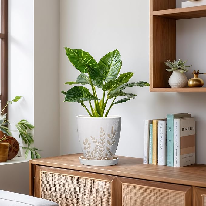 6 Inch Plant Pot with Drainage and Saucer - Small Decorative Flower Pot for Succulents Herbs Plants, Indoor Succulent Planter, Desk Office Room Home Decor, Gifts for Plant Lovers, White