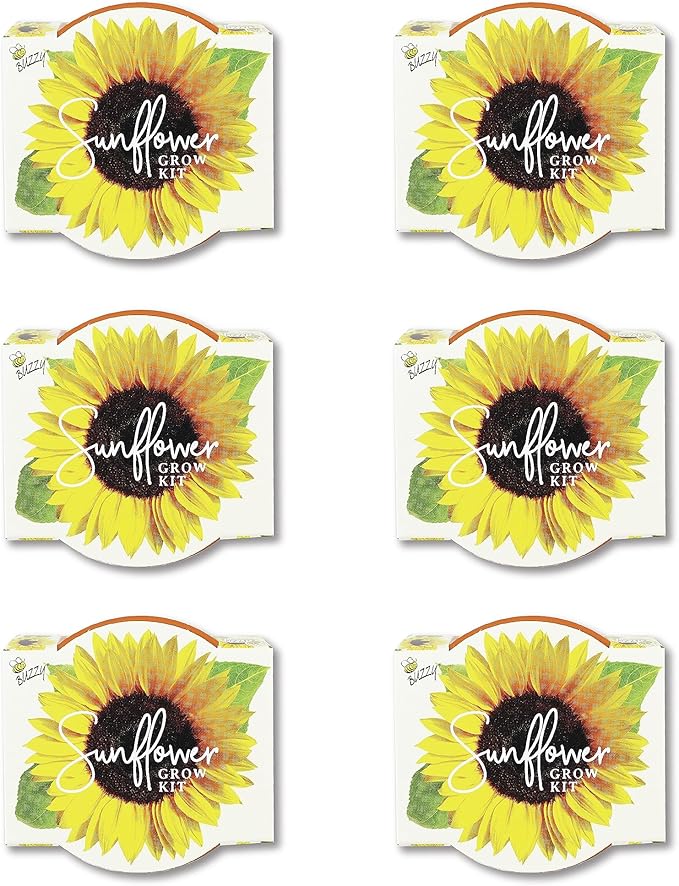 BUZZY Seeds Sunflower Daydream Collection 6-Pack Mini Terracotta Grow Pots, Includes Seed Packets and Growing Medium, Flower Starter Kit for Kids and Adults, Indoor Gardening Gift, Wedding Favors