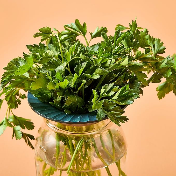 Modern Sprout Produce Keeper for Fresh Herbs & Greens - Eco-Friendly, BPA-Free, Sustainable Materials - Extends Freshness Up to 2 Weeks - Gift for Plant Lovers and Home Chefs - 2 Pack