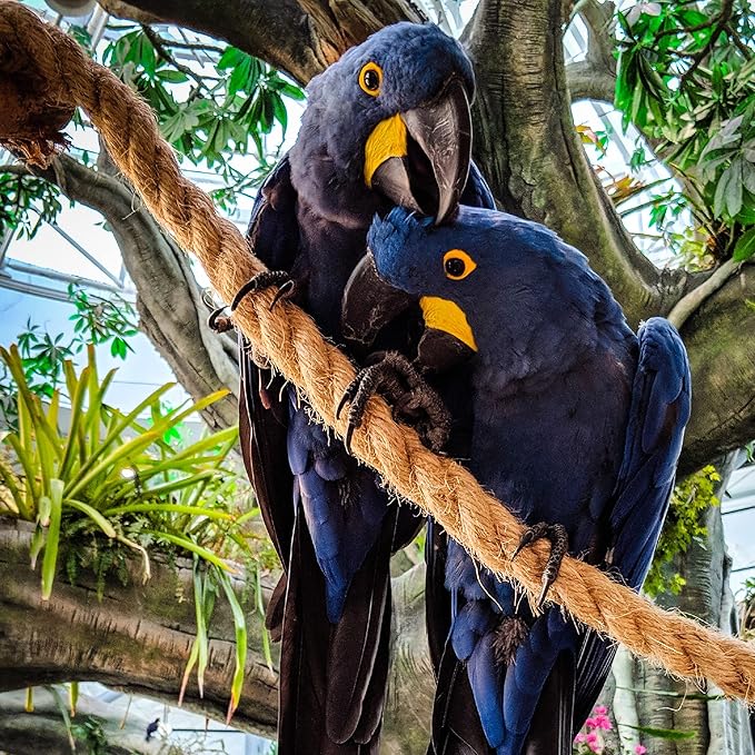 Versatile and Durable 1 Inch x 100 Ft Jute Rope - Ideal for Tug of War, Swings, DIY Crafts, Gardening, Home Decor, and Hammocks