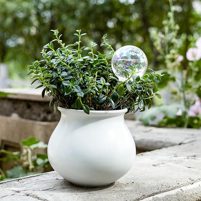 13 oz Up 2 Weeks Extra Large Plant Watering Globes, Iridescent Rainbow Glass Water Bulbs, Self Watering Planter Insert, Vacation Plant Watering Devices System, Automatic Plant Waterer, 2 Pack