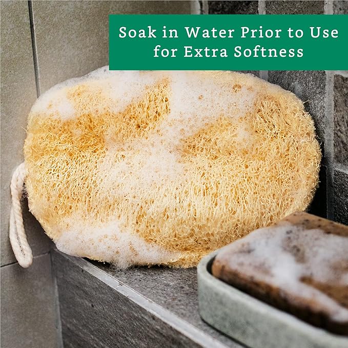 Natural Loofah Exfoliating Sponge (3 Pack) - Organic Body Scrubber - Biodegradable Shower Luffa