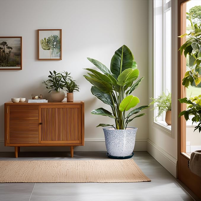 Ceramic Planter - 10 Inch Plant Pot for Indoor Outdoor, Round Planter with Drainage Hole and Plant Tray, Large Decorative Planters, Modern Flower Pot, Home Room Decor, Gardening Gift, Green