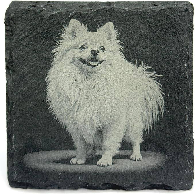 Pomeranian Laser Engraved Slate Coaster Set of 4