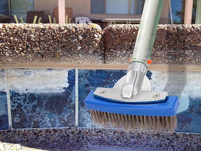 Pumice Stone for Pool and Stainless Steel Pool Brush Kit to Reomve Erase Rust Stain Spot in Concrete Plaster Pool Spa and Calcium Deposit on Pool Tile