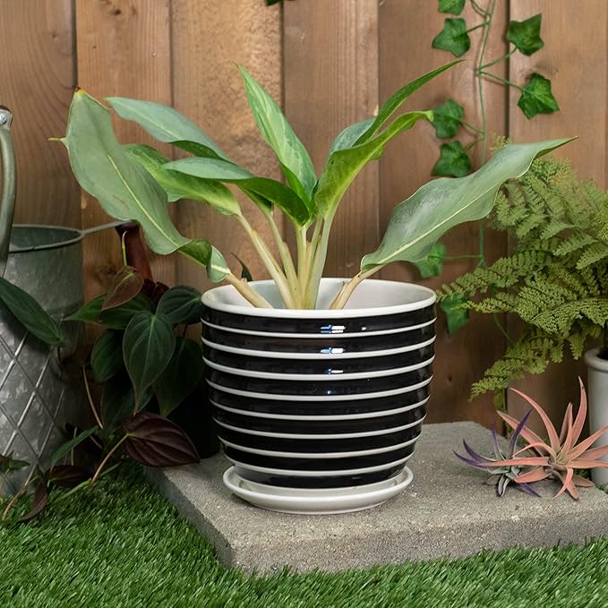 Napco Striped Black and White Ribbed 5.5 x 6 Inch Ceramic Flower Pot Planter with Saucer