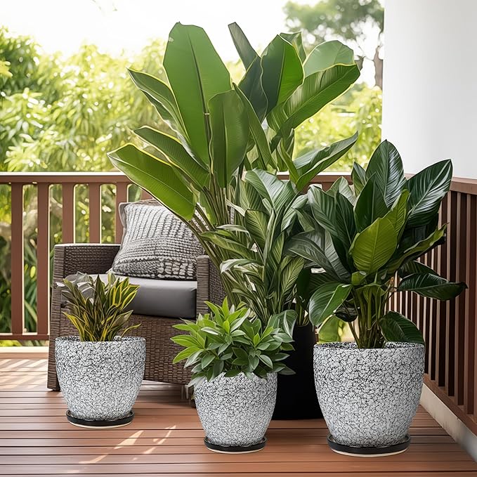 Ceraimc Plant Pot - 8 Inch Planter with Drainage and Saucer, Modern Round Planter, Flower Pot for Indoor Outdoor Plants, Home Room Garden Apartment Decor, Gifts for Plant Lovers, White-Black