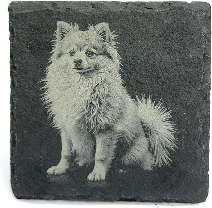 Pomeranian Laser Engraved Slate Coaster Set of 4