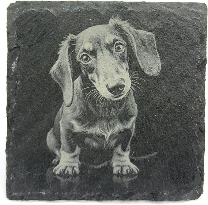 Labrador Retriever Laser Engraved Slate Drink Coaster Set of 4