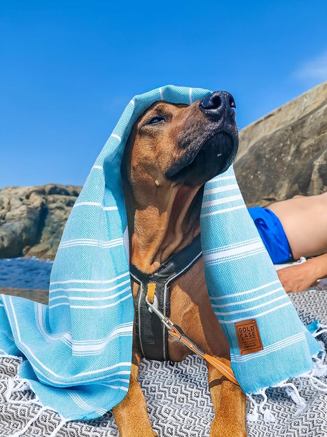 GOLD CASE HOME COLLECTION Lycia Original Turkish Hand Towels by Gold CASE-Set of 6-20x40'' 100% Cotton Decorative Bathroom & Kitchen for Hand,Face,Hair,SPA,Gym,Tea and Dishcloth,Tones of Yellow