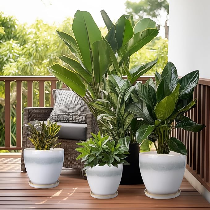 6.3 Inch Plant Pot - Ceramic Planters for Indoor Ourdoor Plants, Modern Succulent Pot, Round Planter with Drainage Hole and Saucer, Room Office Garden Home Decor, Plant Lover Gift, White-Grey