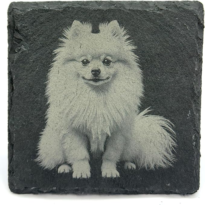 Pomeranian Laser Engraved Slate Coaster Set of 4