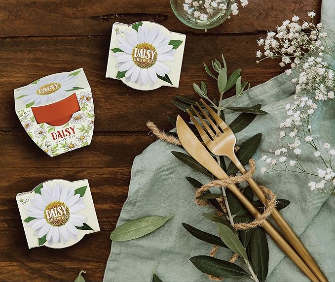 BUZZY Seeds Daisy Daydream Collection Mini Terracotta Grow Pots 6-Pack, All-in-One Starter Kit with Seed Packs and Growing Medium, Wedding Favors, Gardening Gifts, Stocking Stuffer